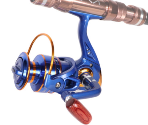 Shimano Fishing Reel 5.2:1 with Magnetic Brake (One)